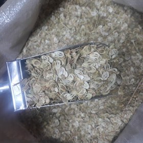 تصویر گلپر درشت بسیار خوش عطر و بو (1000 گرمی) 