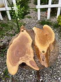 تصویر تخته سرو 