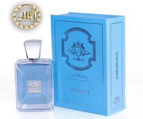 تصویر لویی نیش اموروس مردانه ادوپرفیوم 100 میل Lui Niche Amorous For Men EDP 100 ML