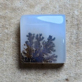 تصویر شجر قائن 