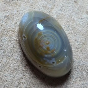 تصویر باباقوری طبیعی زیبا خاص 