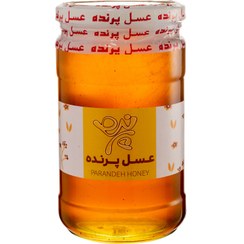تصویر عسل طبیعی پرنده – 900 گرم 