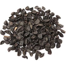 تصویر بذر پیازچه قرمز 10، 100 و 500 گرمی