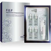 تصویر تراپی میکرونیدلینگ FGF اکلادو Eclado 