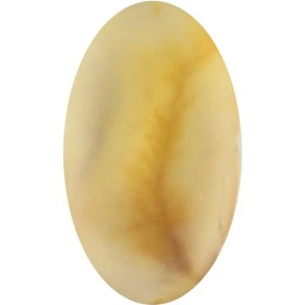 تصویر سنگ شجر پارلا گوهر کد 5151 