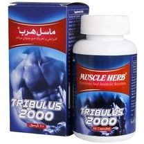 تصویر ماسل هرب 