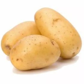 تصویر میوه سیب زمینی 2 