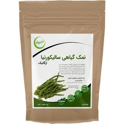 تصویر نمک گیاهی سالیکورنیا 