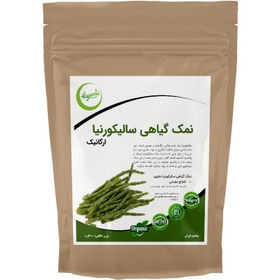 تصویر نمک گیاهی سالیکورنیا 