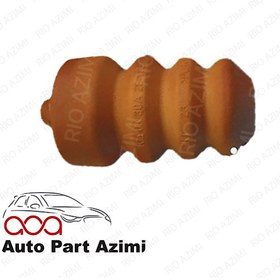 تصویر ضربگیر کمک عقب ریو جینیون کیا 