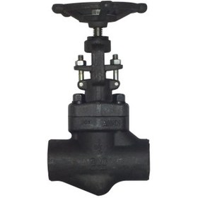 تصویر سوزنی "2 اینچ کلاس800 دنده OMB a105 needle valve threaded 2 in class 800 omb