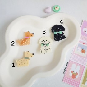 تصویر انبری هاپویی 