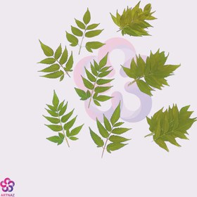 تصویر برگ خشک 