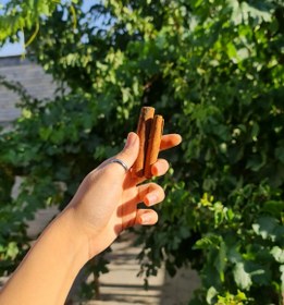 تصویر دارچین سیگاری 