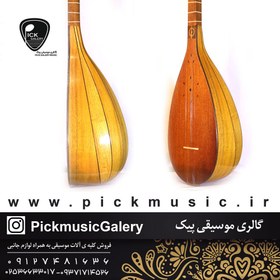تصویر تنبور دیبا ویژه 0