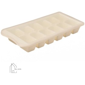 تصویر قالب یخ دربدار 