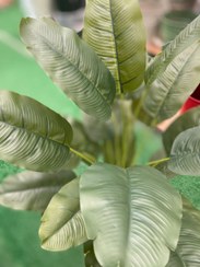 تصویر درختچه مصنوعی پرنده بهشتی 24 برگ 