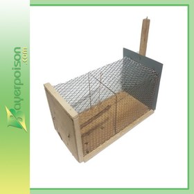 تصویر تله موش سایز بزرگ 