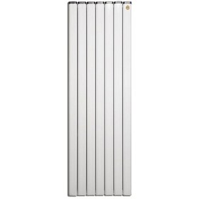 تصویر رادیاتور ایستاده آنیت مدل پایونیر ورتیکال 7 پره Anit standing radiator, Pioneer vertical 7 blades