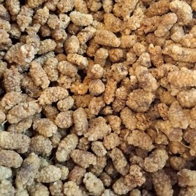 تصویر توت خشک شمرون 