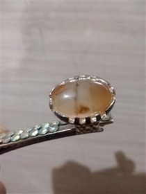 تصویر شجر تک درخت و دل 