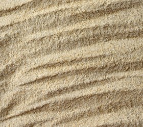 تصویر پودر پیاز (10کیلویی) 