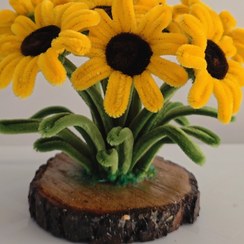 تصویر باغچه گل زیبای تو 