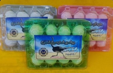 تصویر سفیداب شترمرغ بسته 12 عددی 