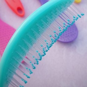 تصویر برس دلفینی 