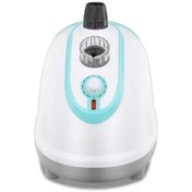 تصویر اتو بخار ایستاده راف مدل R3039 ظرفیت ۳ لیتر ۱۸۰۰ وات 