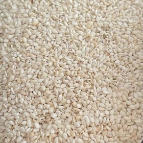 تصویر کنجد سفید ممتاز (1 کیلویی) .