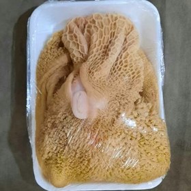 تصویر سیراب وشیردان بره 