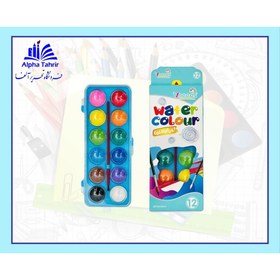 تصویر آبرنگ 12 رنگ Vneeds 