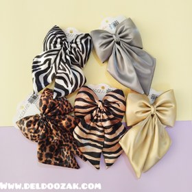 تصویر پاپیون فرانسوی + مجلسی 