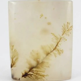 تصویر سنگ شجر کد 2313 