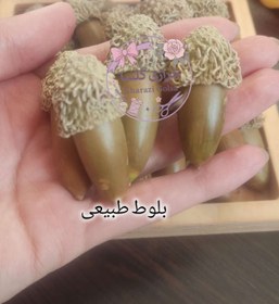 تصویر بلوط طبیعی تزئینی 