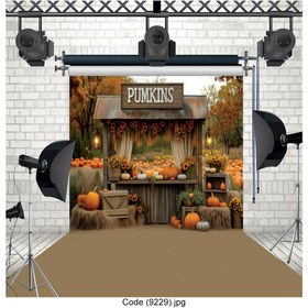 تصویر بکدراپ عکاسی Code (9229) 