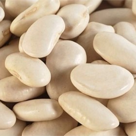 تصویر بذر لوبیا سفید بزرگ 20 عددی 