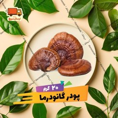 تصویر پودر گانودرما بسته 20 گرمی با کیفیت عالی 