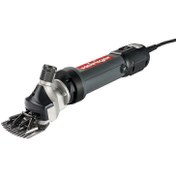 تصویر پشم چین سوئیسی 