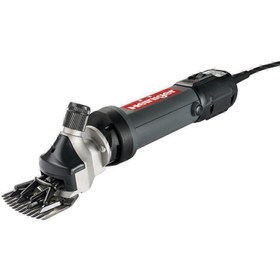 تصویر پشم چین سوئیسی 