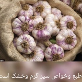 تصویر پودر سیر خانگی خالص و اصل همدان (تضمین کیفیت) 