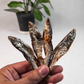 تصویر ماهی کیلکا (مخصوص گربه) 