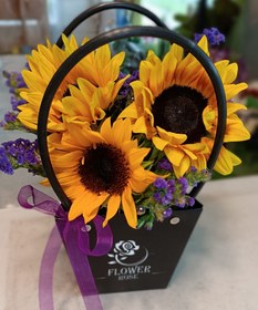 تصویر بگ گل مینی آفتابگردون 