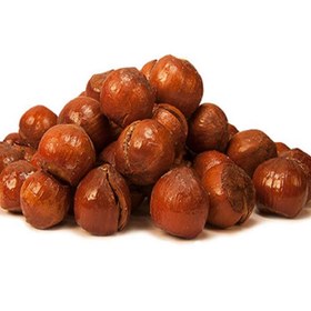 تصویر فندق بو داده فله 