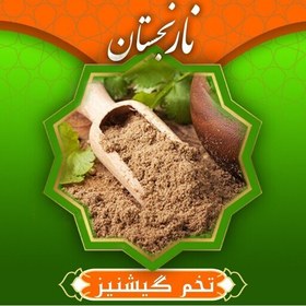 تصویر تخم گشنیز سابیده (150 گرمی)نارنجستان 