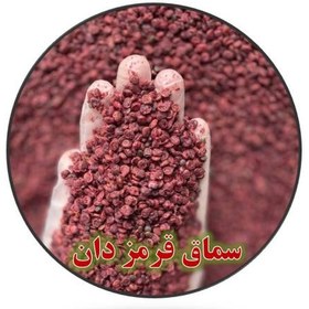 تصویر قیمت خرید اینترنتی سماق قرمز نکوبیده – 500 گرم 