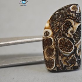 تصویر فسیل سنگی توریتلا 4.4 گرم 