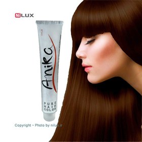 تصویر رنگ مو آنیکا شماره 10 حجم 100 میلی لیتر 