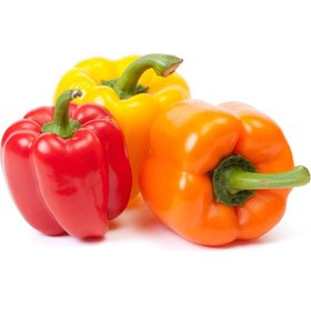 تصویر فلفل دلمه رنگی 